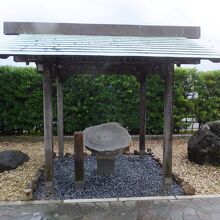 先代は切り株として