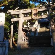 境内に温泉が湧き出る熱海らしい神社