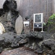 大湯間欠泉広場の中に