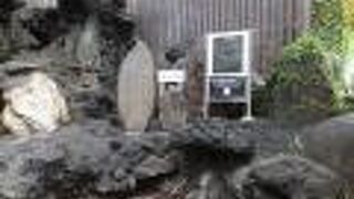 大湯間欠泉広場の中に