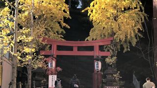 猫はいなかった。