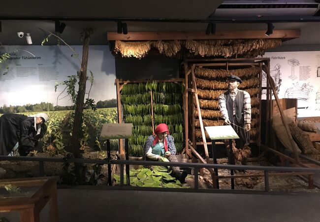 サムスン市立博物館