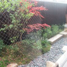 窓の外には狭いけど庭が