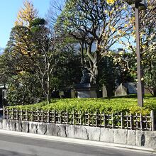 新奥山には、いろいろなものが有ります