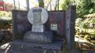 せっかく記録のある貴重な石に、重さが変わるような文字を彫る行為が行われているとは驚きです。