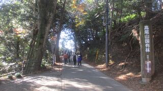 気軽に登れます