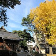 こぢんまりした神社ですが、本殿の木彫がとても精巧で、素晴らしい！