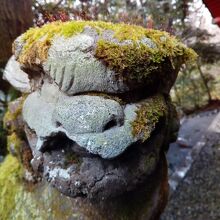 頭に植物の芽が芽吹いているぼぁぼぁ狛犬