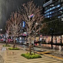 名駅通 イルミネーション