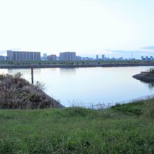 今回は「芝川水門」を見に行きました