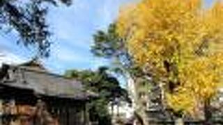 こぢんまりした神社ですが、本殿の木彫がとても精巧で、素晴らしい！