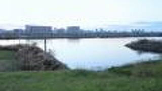 かつては荒川放水路の名で、開放的な土手の上を散歩するのが好きでした