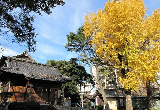 こぢんまりした神社ですが、本殿の木彫がとても精巧で、素晴らしい！