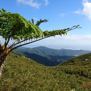 沖縄最高峰