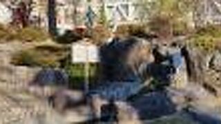 ここだけ枯れていた