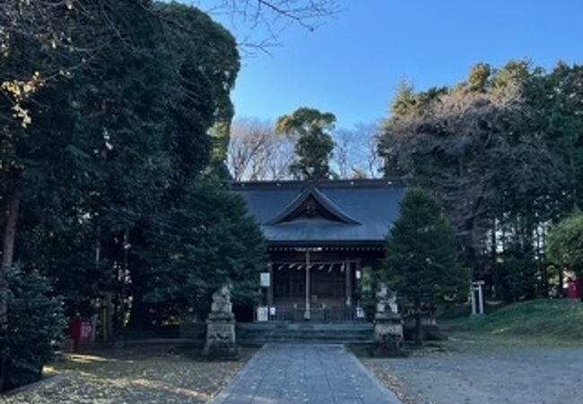 広々とした神社でした