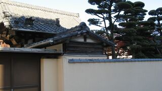 観光寺院ではなさそう