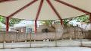 国際通り近くの公園