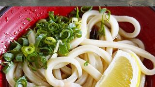 門前町でさぬきうどん：てんてこ舞