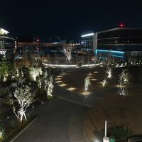 部屋からの眺望は公園でした