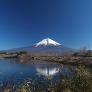 富士五胡ではないけれど