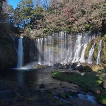 陽の当たる部分と影の部分のコントラストが強い