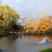 桜山公園