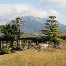 庭園から見る桜島