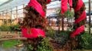 大きなクリスマスリース