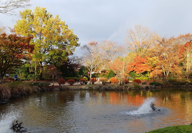 桜山公園