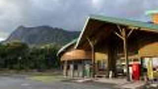 12月は、ぽんかんが旬