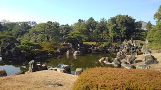 冬枯れの庭もまた良し