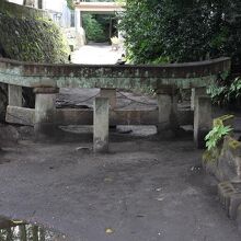 インパクトありすぎ！