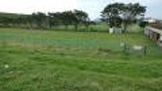 函館空港と湯の川温泉の間