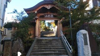 南国の木々がある境内が特徴的