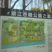 江東区の公園