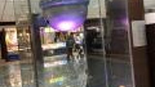 あれ？こんなだったっけ？