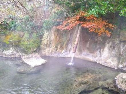 桃李温泉 季の社 石庭 写真