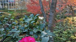 意外と良い雰囲気