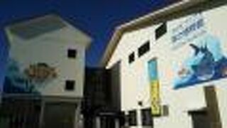 一部展示室が閉鎖中ですが見ごたえ十分でした