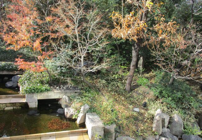 新梅田シティにある森