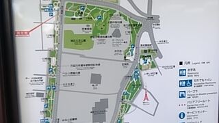 隠れた紅葉スポット。東京タワーの足元です。