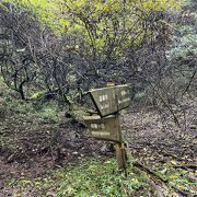 大雄山最乗寺から２時間半で明神ヶ岳山頂へ