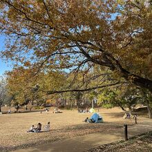 公園の広場