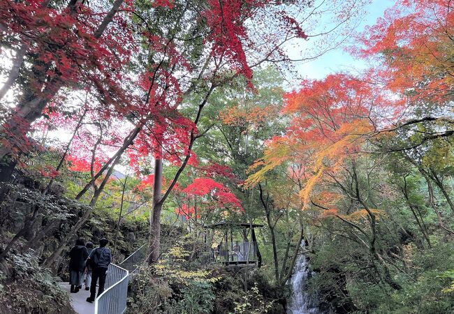 万葉公園 神奈川県湯河原町 クチコミ アクセス 営業時間 湯河原温泉 フォートラベル