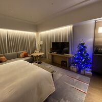 部屋にクリスマスツリー♪( ´θ｀)