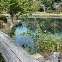 池を巡るお庭です