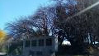 少し調べてから訪れた方が