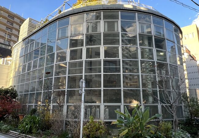 都心にある日本で1番小さい植物園