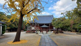 紅葉もよさそうです